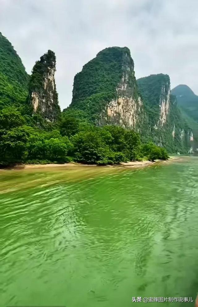 可爱的蜗牛拼图
